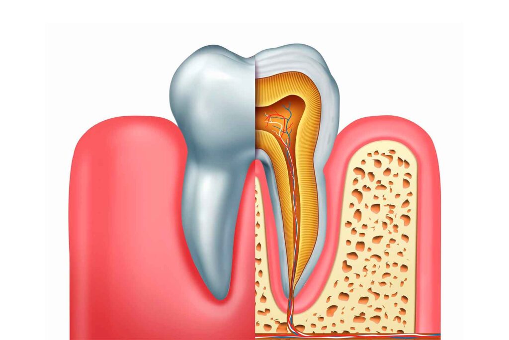 Technological Advances Shaping Endodontics in Florida 2025